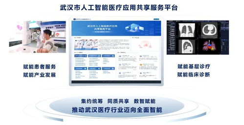 數智賦能 健康先行 武漢構建智慧高效醫療服務新格局